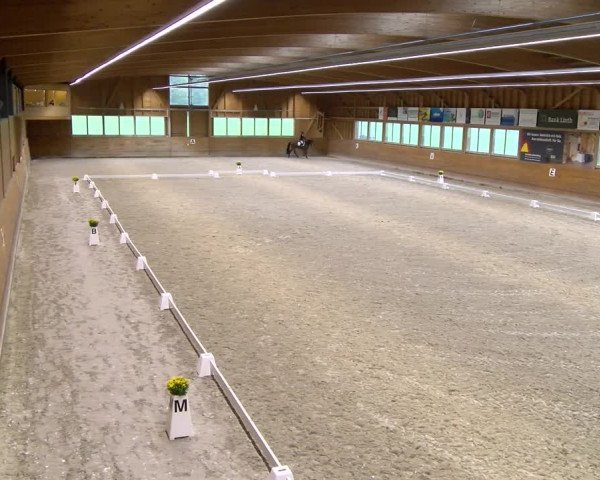 Reitturnier Rüti 2023