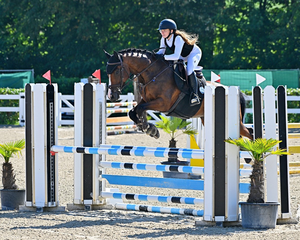 jumper Coolest Clooney (German Sport Horse, 2015, from Clooney)