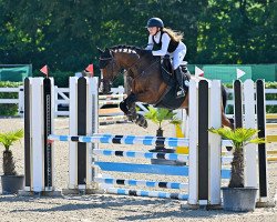 jumper Coolest Clooney (German Sport Horse, 2015, from Clooney)