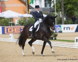 dressage horse Loverboy 26 (Holsteiner, 2000, from Lorentin I)