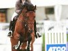 jumper Bocca Al Lupo (Oldenburg show jumper, 2018, from Bentley van de Heffinck)