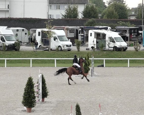 Pferdesporttage Bülach 2021