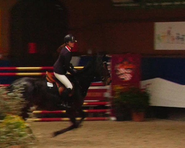 Reitturnier Gadebusch 2023
