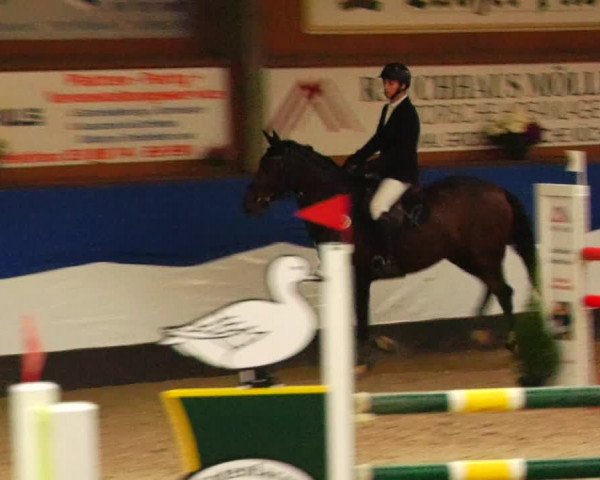 Reitturnier Gadebusch 2023