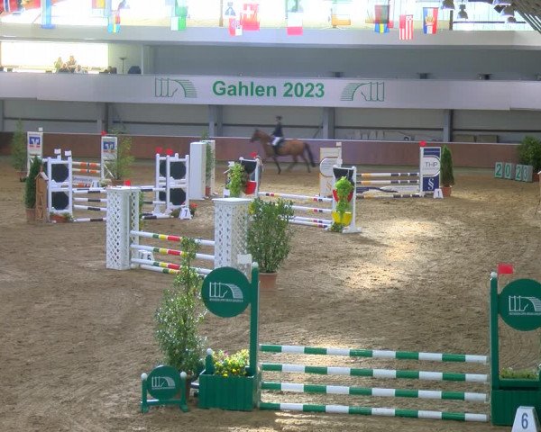 Reitturnier Gahlen 2023