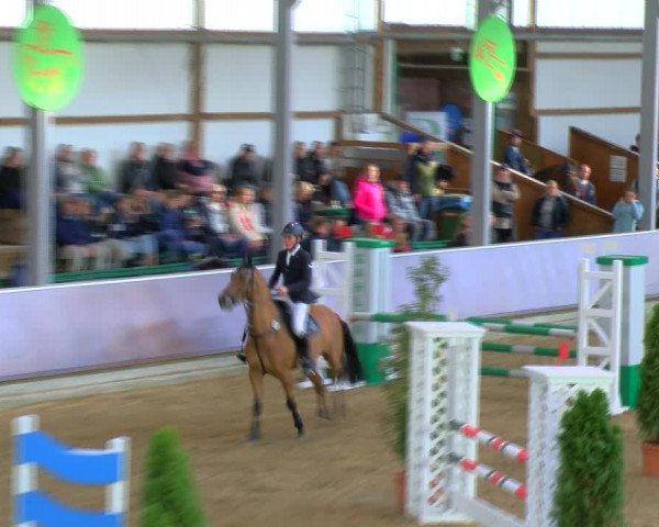 Reitturnier Gahlen 2023
