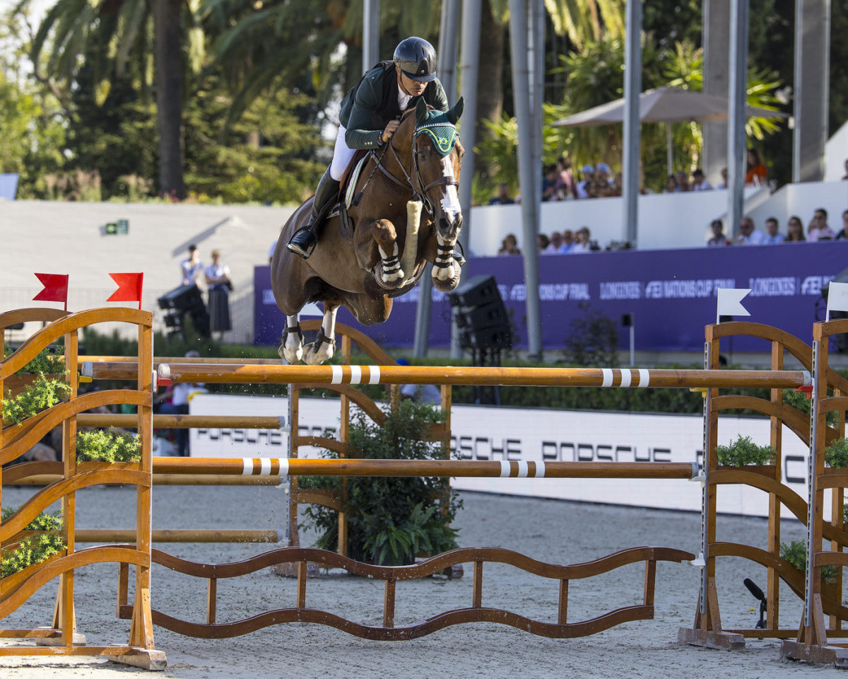 Springpferd Major Tom (Belgisches Warmblut, 2013, von Vagabond de la Pomme)
