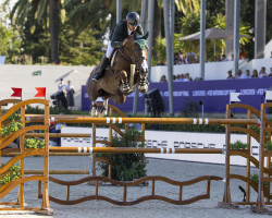 Springpferd Major Tom (Belgisches Warmblut, 2013, von Vagabond de la Pomme)