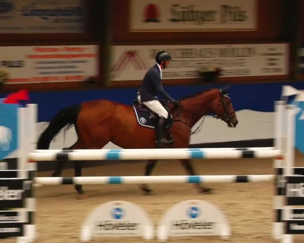 Reitturnier Gadebusch 2023