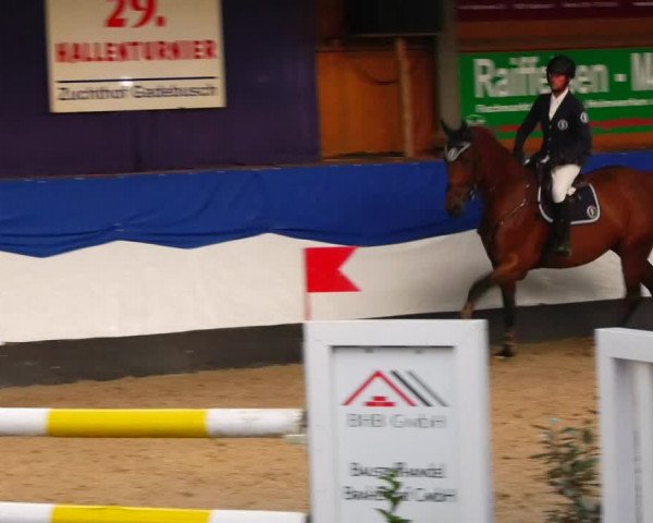 Reitturnier Gadebusch 2023