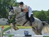 jumper Chianti P (German Sport Horse, 2017, from Calidrio)