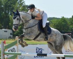 jumper Chianti P (German Sport Horse, 2017, from Calidrio)