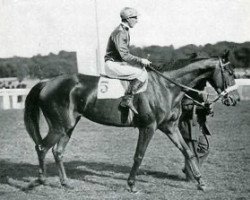 broodmare Tonnelle xx (Thoroughbred, 1934, from Bubbles xx)