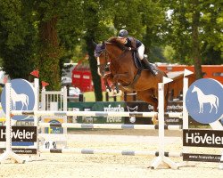 jumper Ally Mcnally (Oldenburg show jumper, 2017, from Kanndarco)