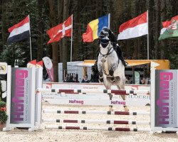 jumper Hermine de Lux (Oldenburg show jumper, 2015, from Hermes de Lux)