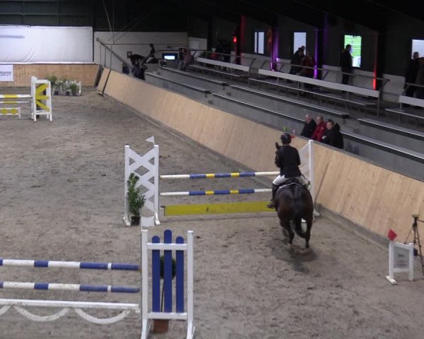 Reitturnier Salzkotten 2023
