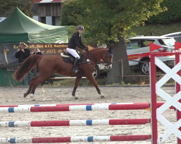 Reitturnier Handorf 2023