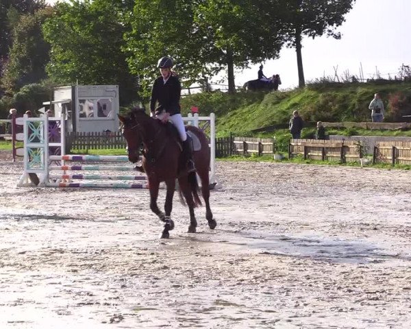 Reitturnier Schülp / Rendsburg 2023