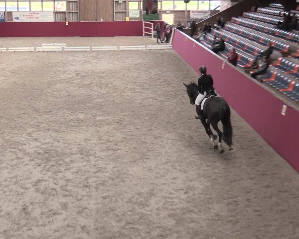Reitturnier Krumke 2023