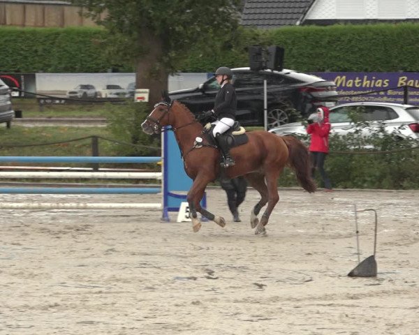 Reitturnier Handorf 2023