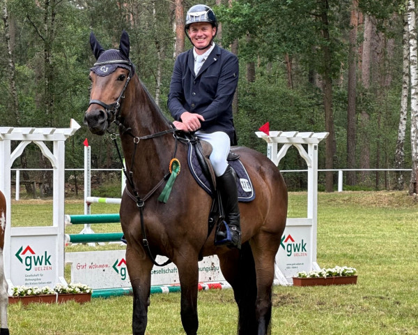 Springpferd van Aimee (Deutsches Sportpferd, 2017, von van Gogh)