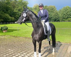 dressage horse Dancing Love 3 (Hanoverian, 2013, from Dancing World)