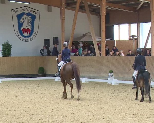 Reitturnier Grafenrheinfeld/Ufr. 2023