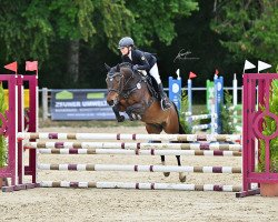 jumper Cherie Es (German Riding Pony, 2011, from Cobold Es)