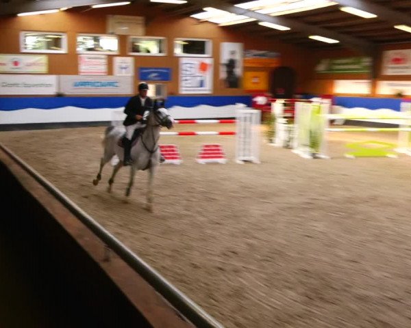 Reitturnier Gadebusch 2023