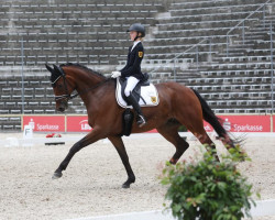 dressage horse Da Rubio (Hanoverian, 2016, from Danone 4)