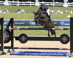 jumper Warinde B (KWPN (Royal Dutch Sporthorse), 2003, from Padinus)