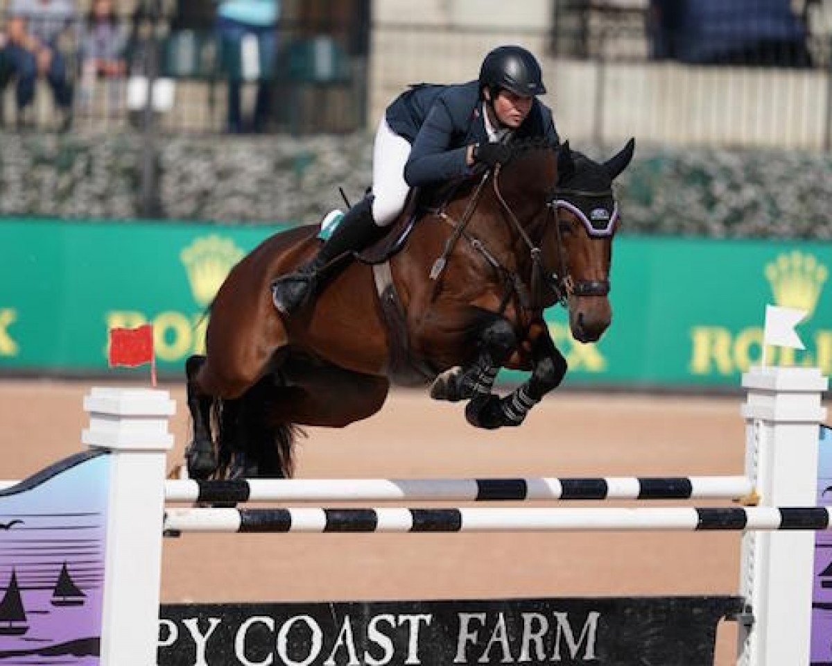 Springpferd Kir Royale SCF (Belgisches Warmblut, 2010, von Amaretto D'Arco)