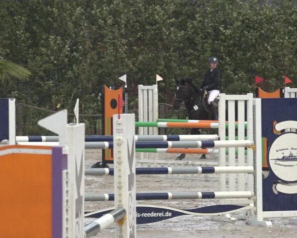 Reitturnier Handorf 2023