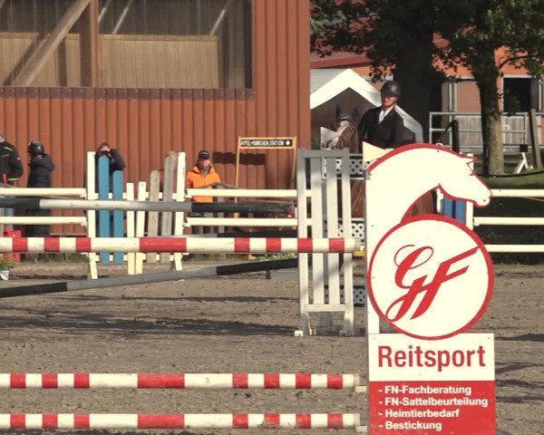 Reitturnier Handorf 2023