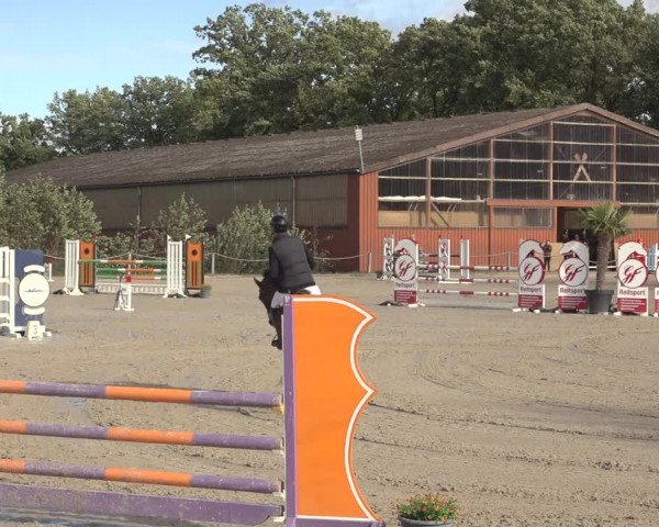 Reitturnier Handorf 2023