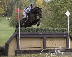 jumper FE Golden Eye (Hanoverian, 2012, from Goldfever)