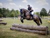 dressage horse Louie D'Or (Holsteiner, 2016, from Lamaze 3)