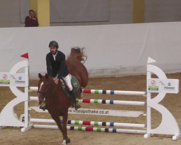 Springturnier Stadl Paura 2023