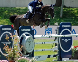 Springpferd Carlos Manciais (Selle Français, 2012, von Ugobak Des Baleines)