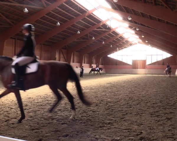 Reitturnier Dortmund-Barop 2021