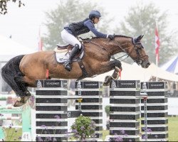 jumper Killarney (Belgium Sporthorse, 2013, from Diamant de Semilly)