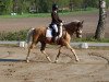 dressage horse Nurlan (German Riding Pony, 2009, from Nacromancer in the dark)