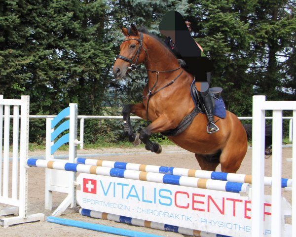 jumper Le Muscat CH (Swiss Warmblood, 2003)