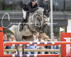 Springpferd Palousy van het Exelhof (Belgisches Warmblut, 2015, von Cornet Obolensky)