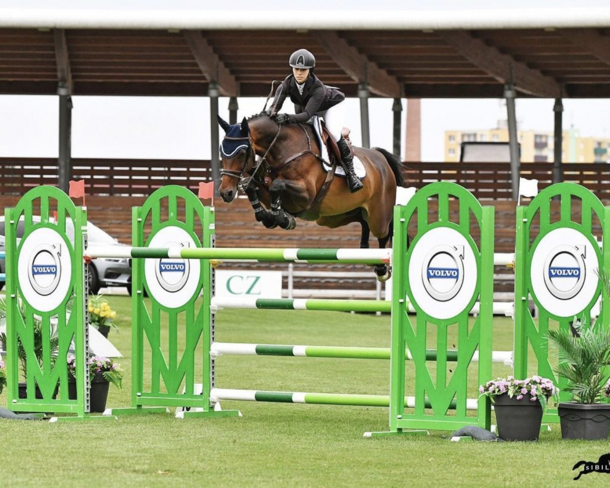 Springpferd Bravoure (KWPN (Niederländisches Warmblut), 2006, von Tolano van het Riethof)