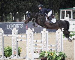 dressage horse Gladstone HDH (Westfale, 2011, from Capistrano 2)