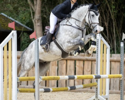 jumper Jimmy Go (German Sport Horse, 2018, from Jewel Fortuna)