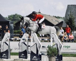 jumper Consult Picobello Z (Zangersheide riding horse, 2015, from Cicero Z van Paemel)