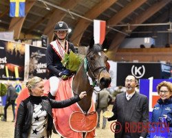 broodmare Caltona (Oldenburg show jumper, 2005, from Calvaro Z)