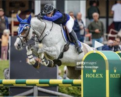 Springpferd Vanda Phantom (KWPN (Niederländisches Warmblut), 2012, von Zirocco Blue)